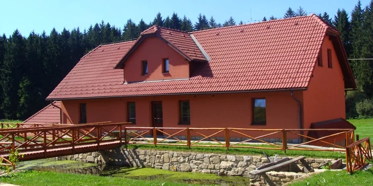 Dovča v penzionu na Vysočině: kouzlo nádherné přírody s koňmi i ovcemi