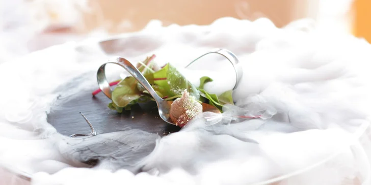 Degustační 11chodové menu pro dva: mořský vlk, slávky i burgundské hovězí