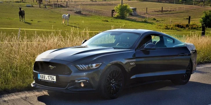 Rozjeďte to v žihadle Ford Mustang GT 5.0 na 15 až 60 minut