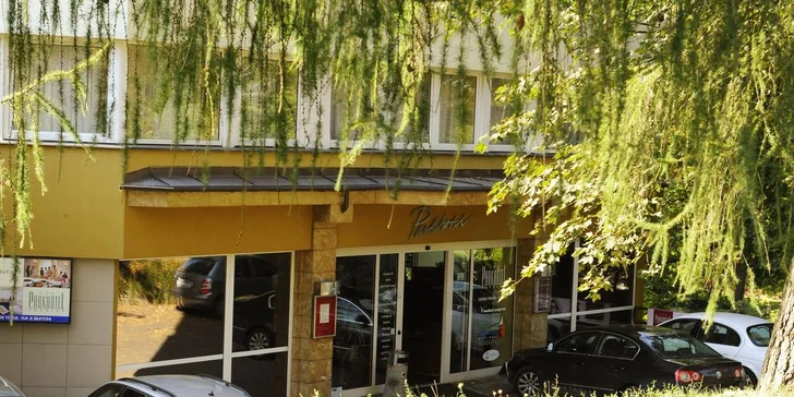 Odpočinek v Sokolově na Karlovarsku s polopenzí a vstupem do wellness