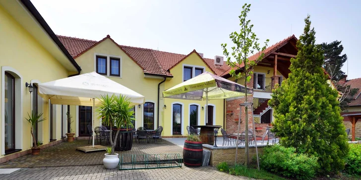 Tři podzimní dny ve Valticích se svatomartinskými hody a degustací vín