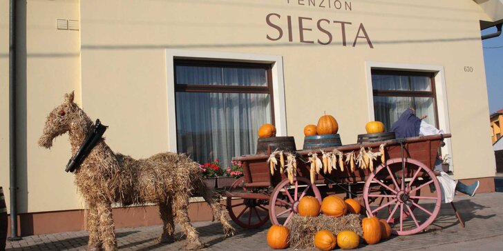 Tři podzimní dny ve Valticích se svatomartinskými hody a degustací vín