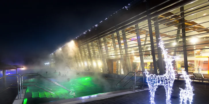 Celodenní vstupenky do Aqualandu Moravia včetně saun a wellness procedur