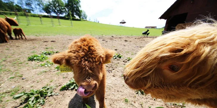 Celodenní rodinný vstup do Farmaparku Soběhrdy 1 + 1 zdarma