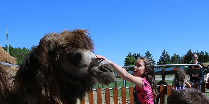 Celodenní rodinný vstup do Farmaparku Soběhrdy 1 + 1 zdarma