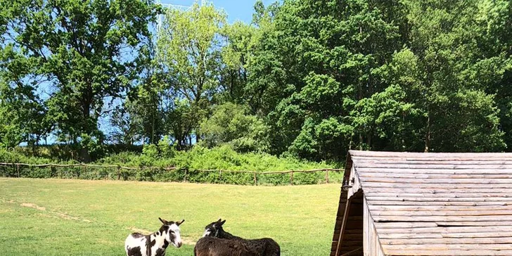 Celodenní rodinný vstup do Farmaparku Soběhrdy 1 + 1 zdarma