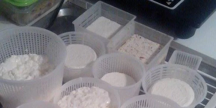 Dárkový poukaz na kurz výroby sýrů: čerstvé i zrající sýry, parenica, mozzarella a další