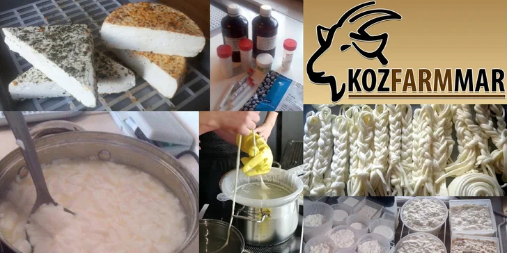 Vyrobte si vlastní sýr nebo jogurt: Kurzy výroby sýrů a mléčných výrobků