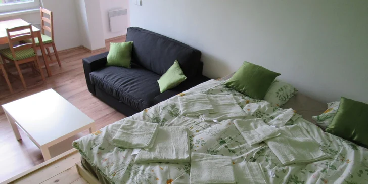 Zima v útulném apartmánu v centru Šumavy až pro 4 osoby