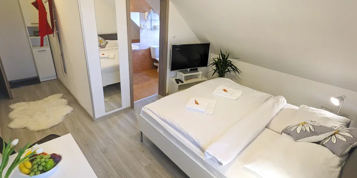 Všetky izby sú elegantne a moderne zariadené.