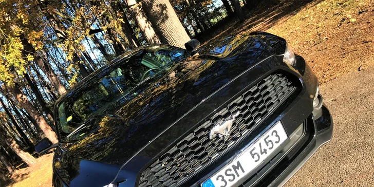 Adrenalin za volantem: jízda v legendárním sporťáku Ford Mustang 2015