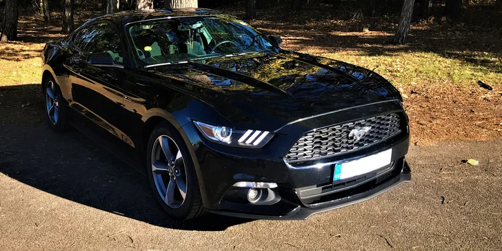 Adrenalin za volantem: jízda v legendárním sporťáku Ford Mustang 2015
