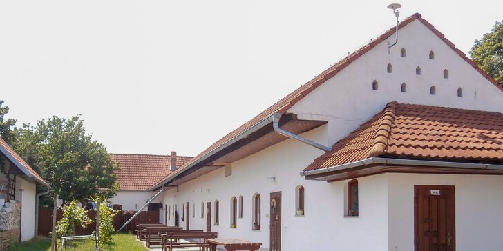 Vinařský pobyt s degustací na jižní Moravě v plně vybaveném apartmánu