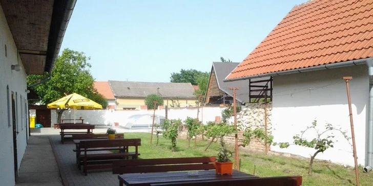 Vinařský pobyt s degustací na jižní Moravě: platnost na celou sezonu 2019