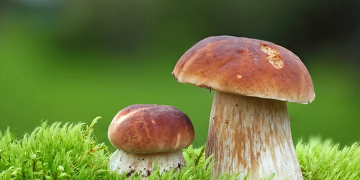 Odpočinek na čerstvém vzduchu v Dolní Moravě