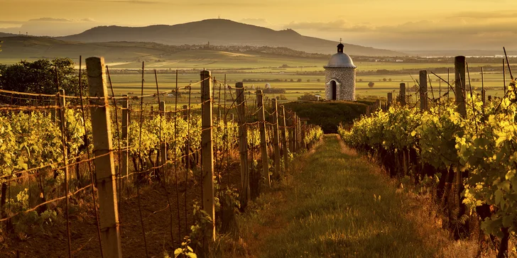 Vinařský pobyt s degustací na jižní Moravě: platnost na celou sezonu 2019