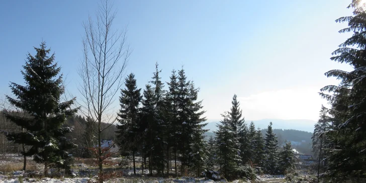 Na Lipno s partou či rodinou v zimě: vybavené apartmány pro 4–5 os.