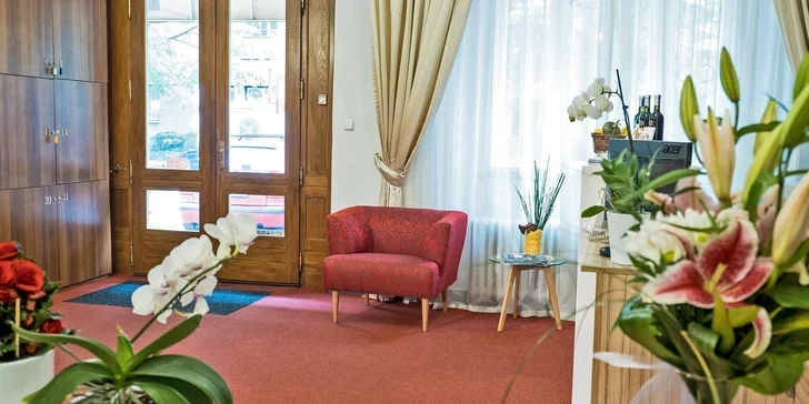 Do Prahy za kulturou: snídaně, sleva na jídlo, vstupy do Musea Kampa, Muzea skla i Werichovy vily