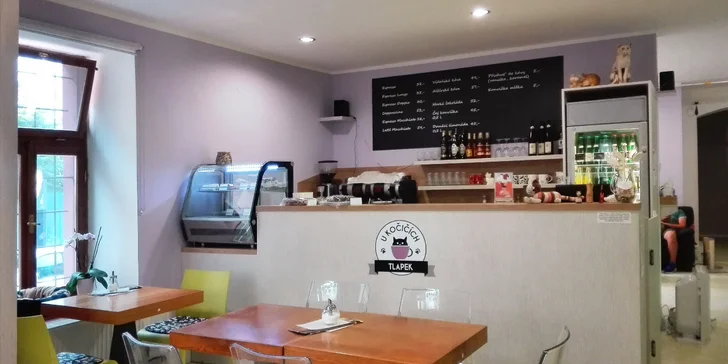 Domácí palačinky a pečený čaj nebo limonáda pro 1 i 2 osoby v kočičí kavárně