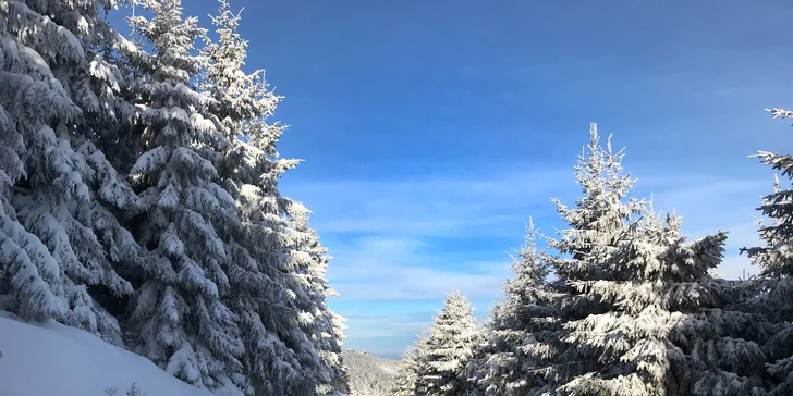 Pobyt v penzionu kousek od Ještědu: polopenze, lyžování nebo výlety