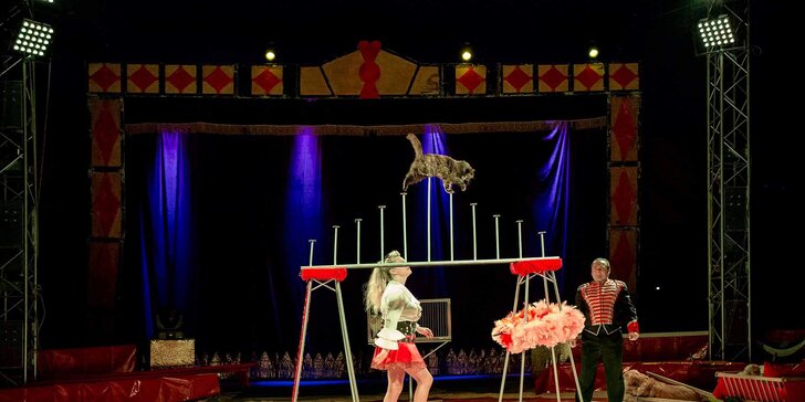 Vstupenky na pohádkové představení cirkusu Venasis pro děti i dospělé