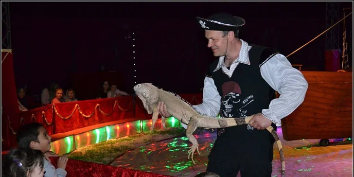 Vstupenky na pohádkové představení cirkusu Venasis pro děti i dospělé