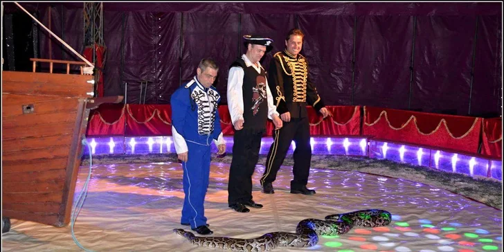 Vstupenky na pohádkové představení cirkusu Venasis pro děti i dospělé
