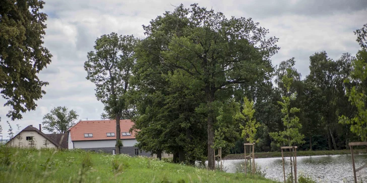 Moderní apartmán na Vysočině pro 4 osoby: pár dní v Jitkovském mlýně