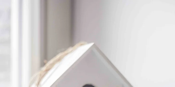 Moderní apartmán na Vysočině pro 4 osoby: pár dní v Jitkovském mlýně