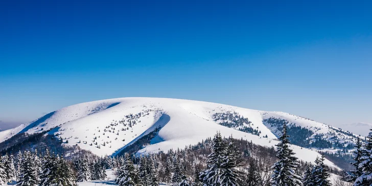3–4 dny na Slovensku pro dva: Polopenze i sleva do koupacího sudu