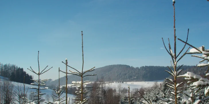 Pobyt na farmě se zvířaty na Broumovsku: snídaně nebo polopenze