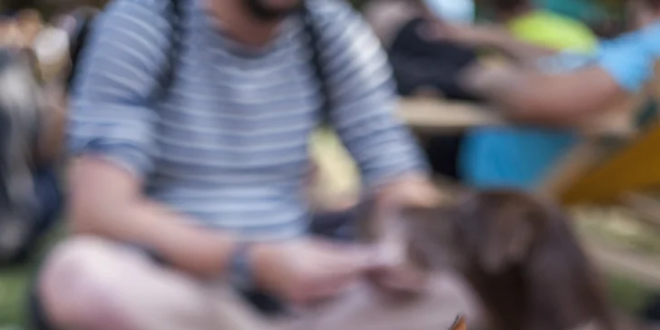 Přispějte na krmení i léky pro kočky a psy z útulků