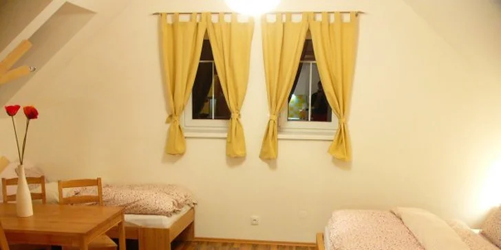 Týdenní dovolená v srdci hor: apartmány pro 4 - 6 osob