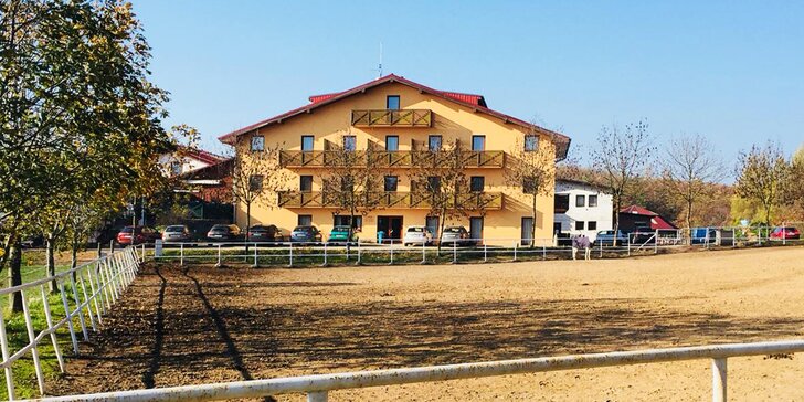 Pobyt v Brně pro milovníky koní: polopenze, příroda, jízda na koni i víno