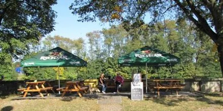 69 Kč za PĚT dokonale vychlazených piv Rychtář 12° Natur. Zlatavý nepasterizovaný ležák s bohatou pěnou, který má opravdu říz, se slevou 44 %.