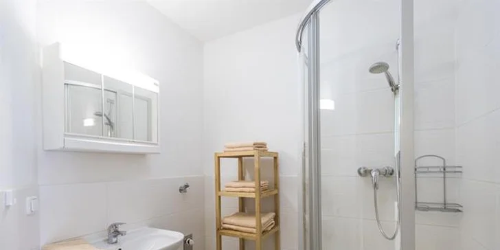 K apartmánu patří i koupelna se sprchovým koutem a WC.