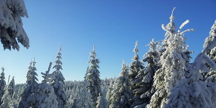 Za lyžováním a lenošením do Orlických hor: polopenze, wellness i fitko