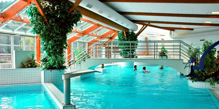 Relax v Janských Lázních: wellness procedury nebo Stezka korunami stromů