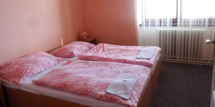 Pobyt v penzionu u Pálavy: 2 noci s polopenzí, sleva na vstup do Aqualandu