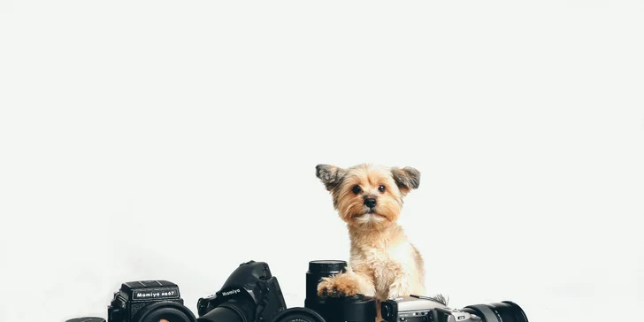 Fotografování v exteriéru až pro 4 osoby včetně retušovaných fotek