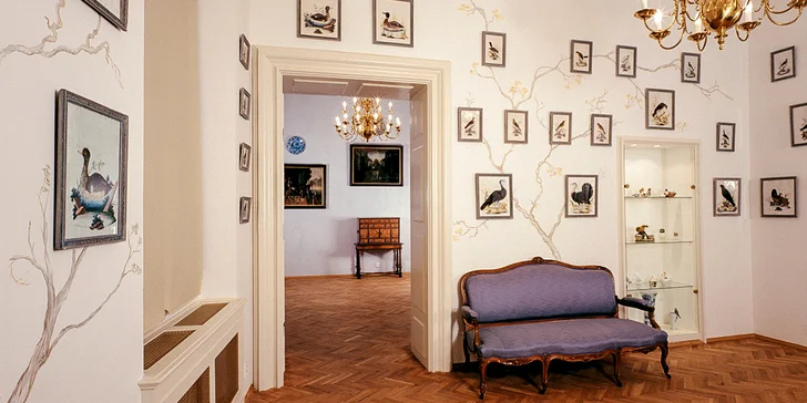 Prohlídka Lobkowiczkého paláce pro 2 osoby a lahev bílého vína