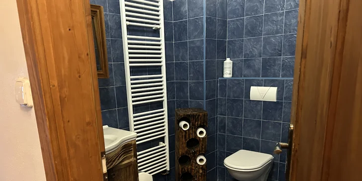 Všechny pokoje mají vlastní koupelnu s WC.
