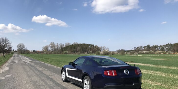 Adrenalin za volantem: půjčte si Ford Mustang na den i na víkend