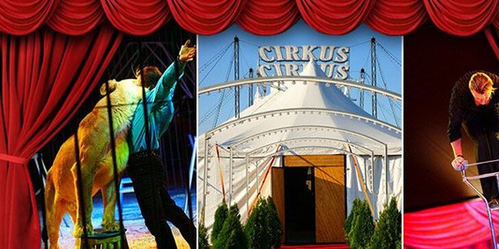 149 Kč za vstupenku na věhlasnou show Cirkus Cirkus Classic! Představení plná zábavy i napětí a umělci z celého světa se slevou 50 %.
