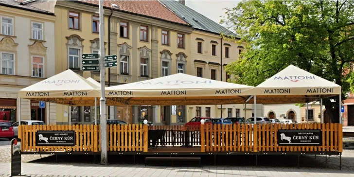 40% sleva na jakékoliv jídlo z menu Černého koně