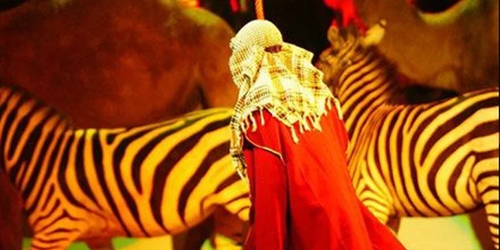 149 Kč za vstupenku na věhlasnou show Cirkus Cirkus Classic! Představení plná zábavy i napětí a umělci z celého světa se slevou 50 %.