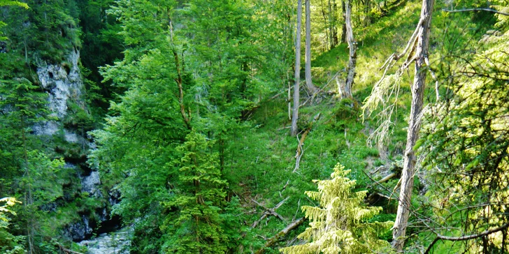 Jednodenní výprava za nejkrásnějšími soutěskami rakouských Alp I.