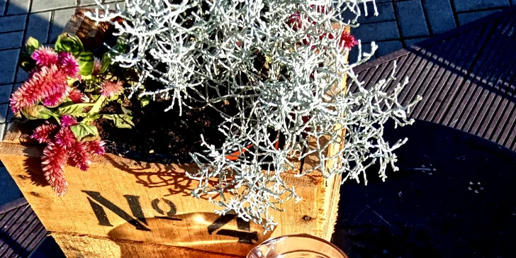 Zimní pochoutka: plněná pohanková palačinka i horká perníková limonáda