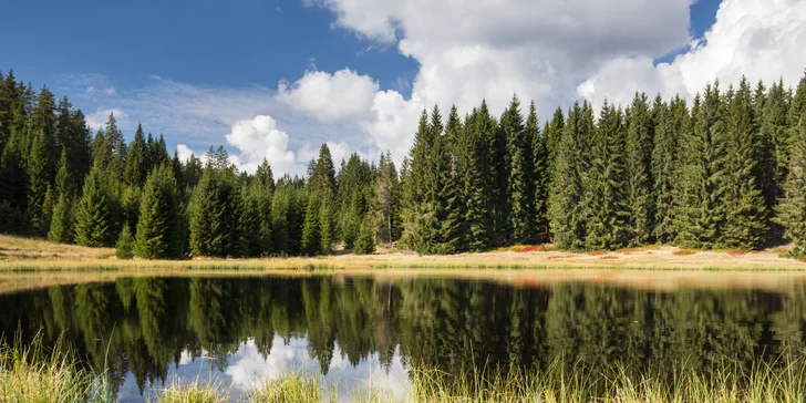 Aktivní pobyt na Vysočině s polopenzí a wellness, ideální na pěší výlety