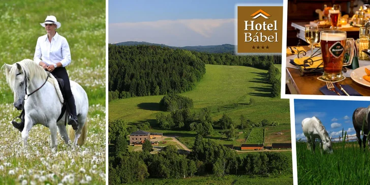 3denní pobyt pro 4 nebo 5 osob ve 4* hotelu v  Novohradských horách